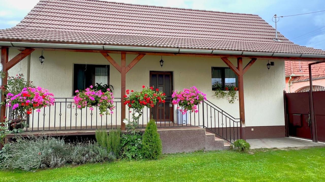 Villa Siebenbuerger Haus Sibiu Exterior foto