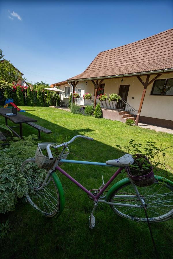 Villa Siebenbuerger Haus Sibiu Exterior foto